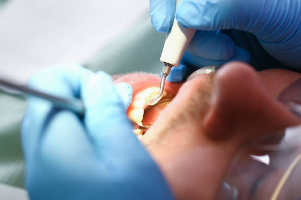 Best Urgent Dental Care in Inman, KS