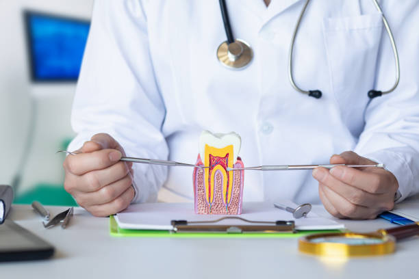 Best Emergency Tooth Extraction in Inman, KS
